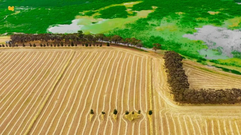 The Green Mountain, Libya
