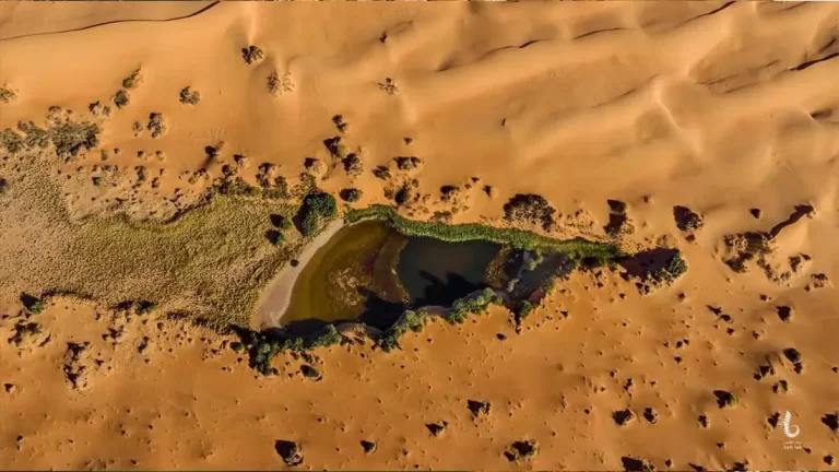 The Libyan Desert