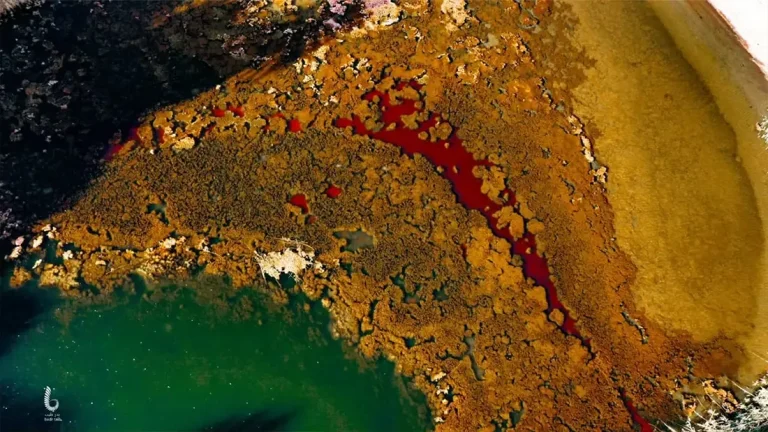 The Libyan Desert