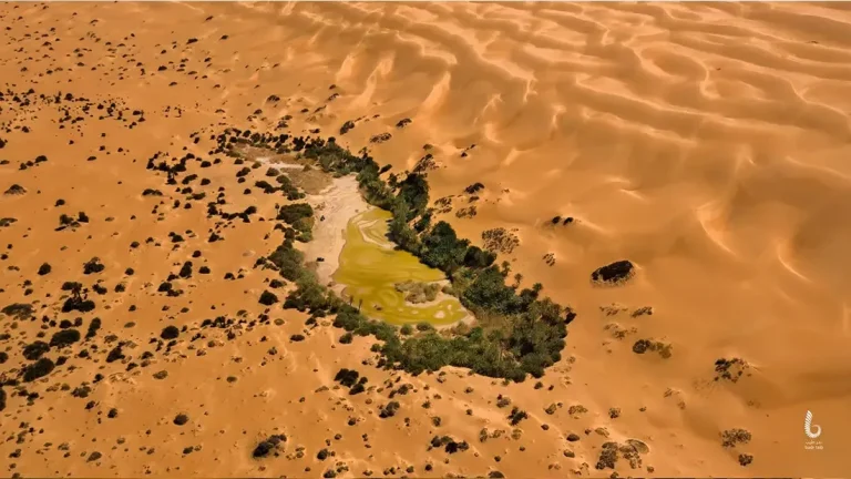 The Libyan Desert