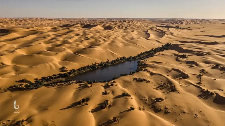 The Libyan Desert