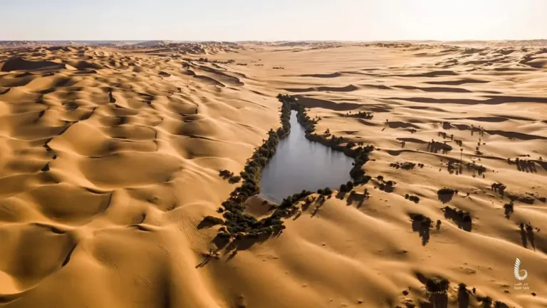 The Libyan Desert